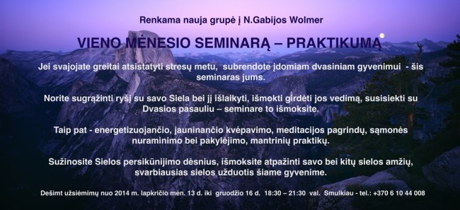 2014_menesio_seminaras_praktikumas