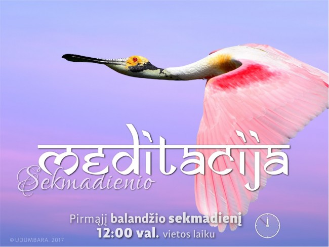 SEKMADIENIO MEDITACIJA. 2017-4-2 12:00