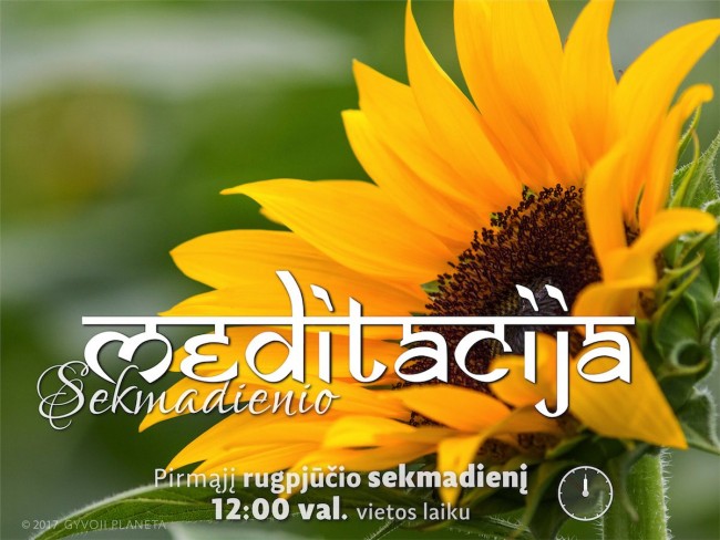 SEKMADIENIO MEDITACIJA. 2017-8-6 12:00