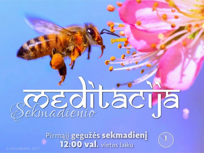 SEKMADIENIO MEDITACIJA. 2017-5-7 12:00