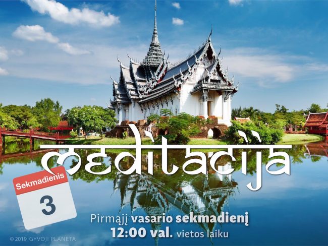 Sekmadienio MEDITACIJA 2019-02-03