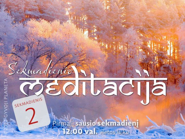 N.Gabija Wolmer. Sekmadienio MEDITACIJA. 2022-1-2