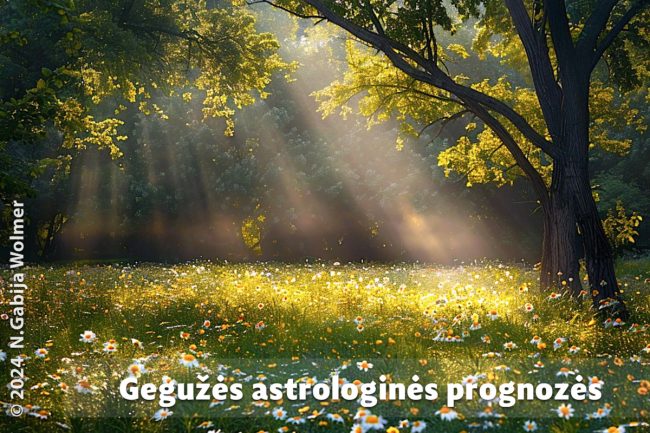 N. Gabija Wolmer. Gegužės astrologinės prognozės