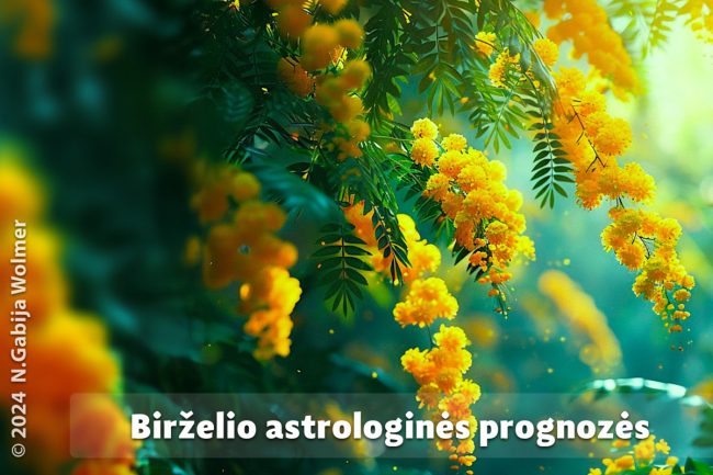 N. Gabija Wolmer. Birželio astrologinės prognozės