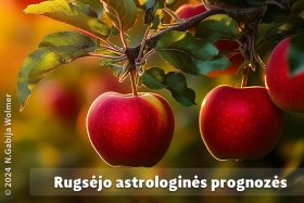 N. Gabija Wolmer. Rugsėjo astrologinės prognozės